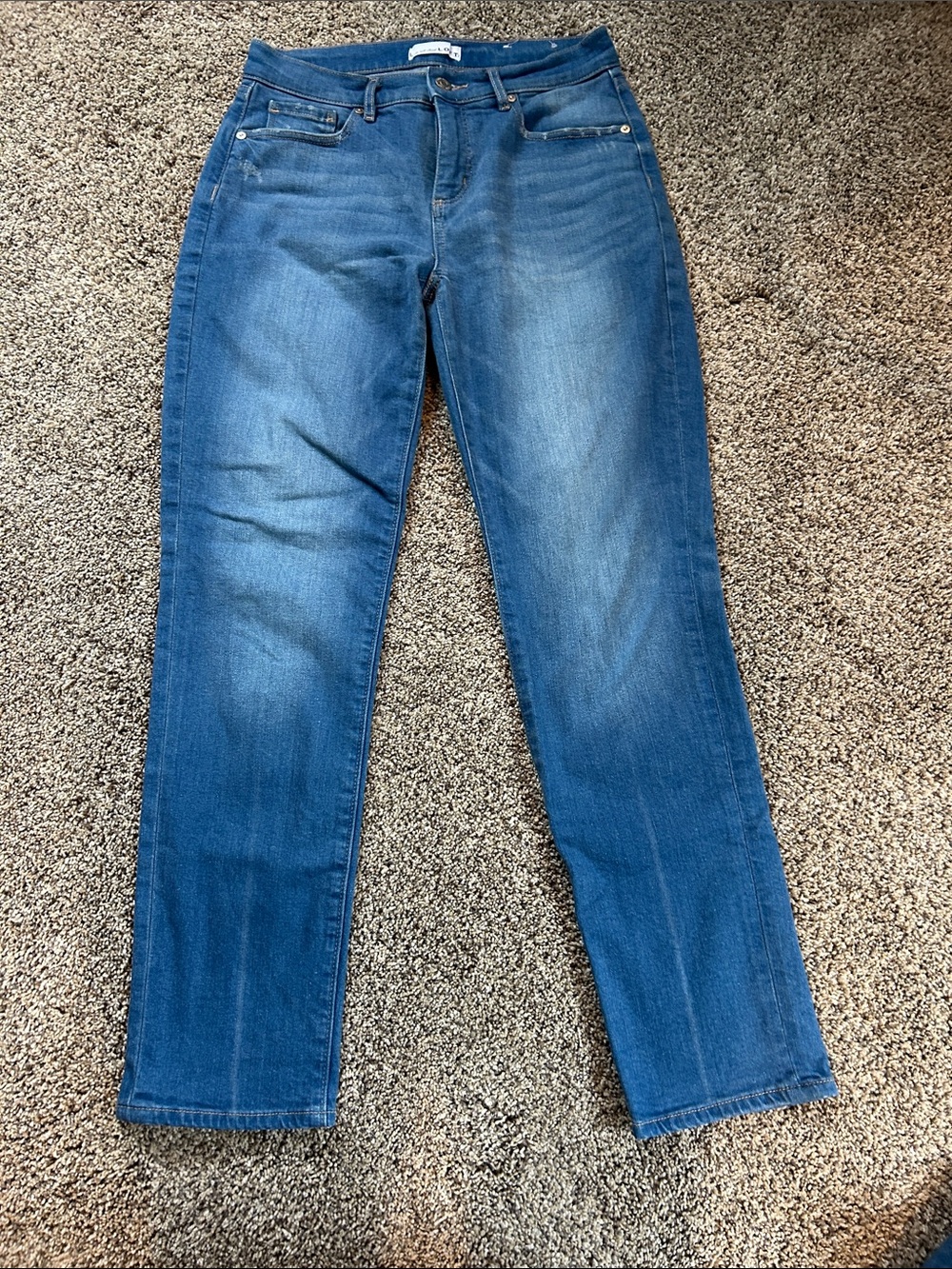 LOFT Straight Leg Jeans in Classic Blue